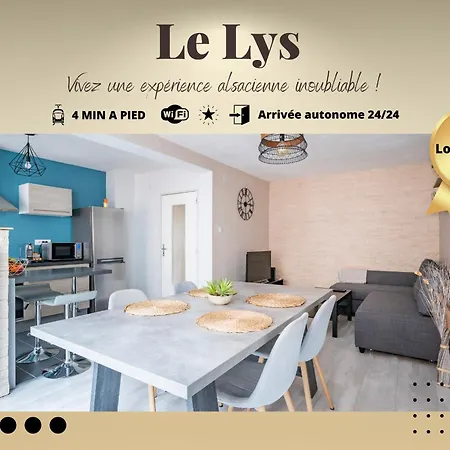 Le Lys - Calme A 5 Min Tram, Proche Centre Stras * Straatsburg